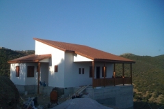 y_ef26685c